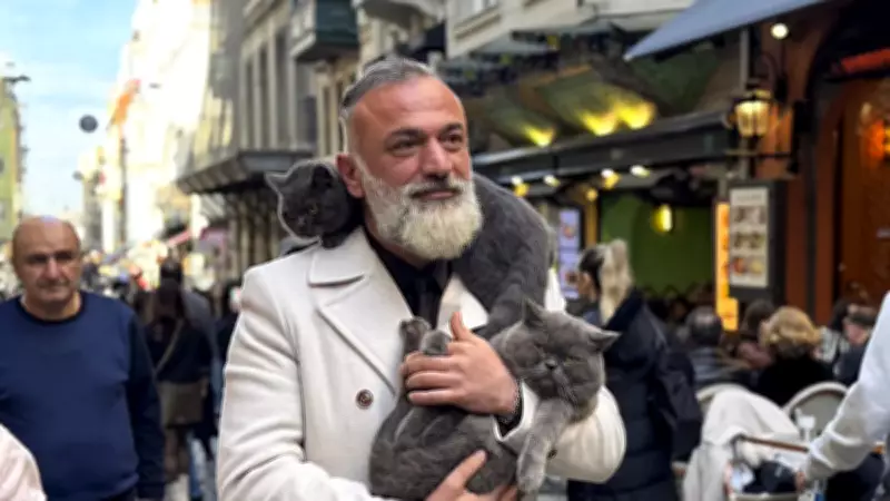 İstanbul'un Seyyah Kedisi Reis'e Artık Yavrusu Pera da Eşlik Ediyor