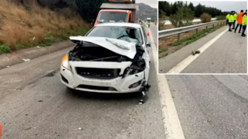 TAG Otoyolu'nda Acı Kazada İşçi Hayatını Kaybetti, 3 Kişi Yaralandı