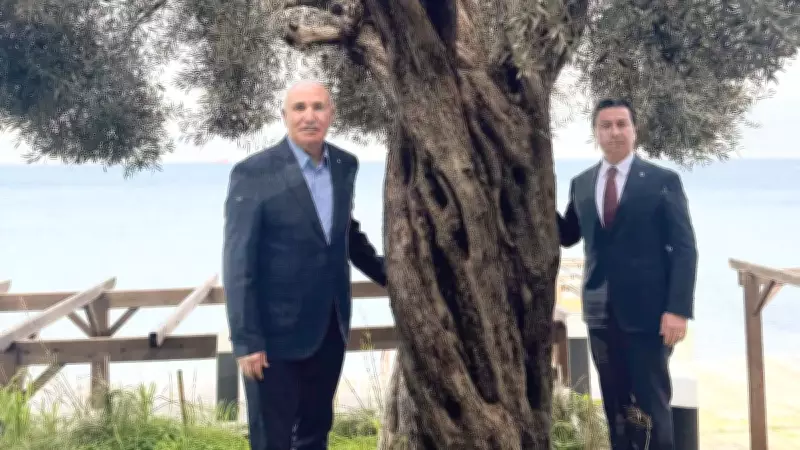 Tanal'a Zeytin Tepkisi: 'Zeytinime Dokunma' Paylaşımı Vatandaşı Kızdırdı