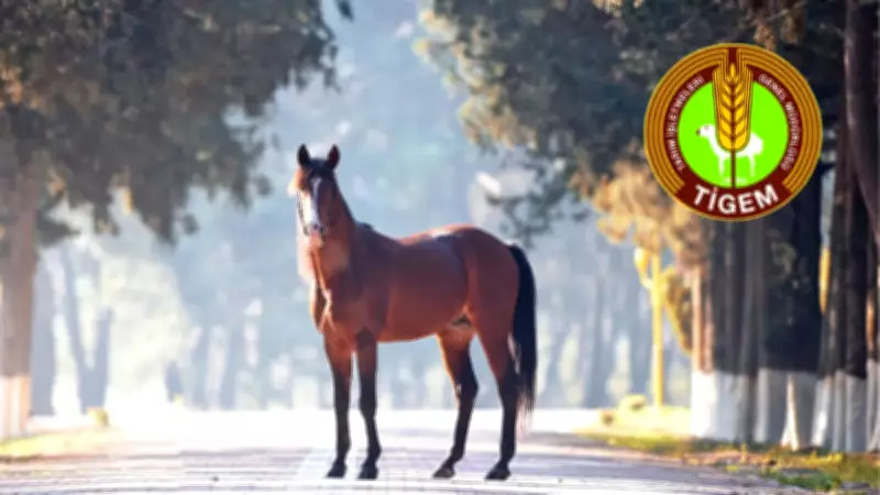 TİGEM'den Kritik Açıklama: 100 Milyon Liralık Yarış Atları Kayıp İddiası Gerçeği Yansıtmıyor