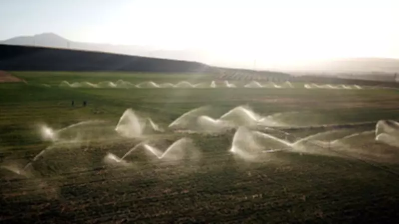 TÜGİS Başkanı Kaan Sidar: Su Verimliliği Olmadan Gıda Güvenliği Mümkün Değil