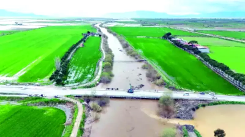 TMO Raporu: Kış Yağışları Tarıma Avantaj Sağladı, İlkbahar Beklentisi Yüksek