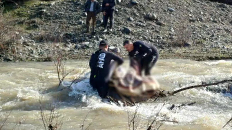 Tokat'ta Kayıp Kadının Cansız Bedeni Dere Yatağında Bulundu
