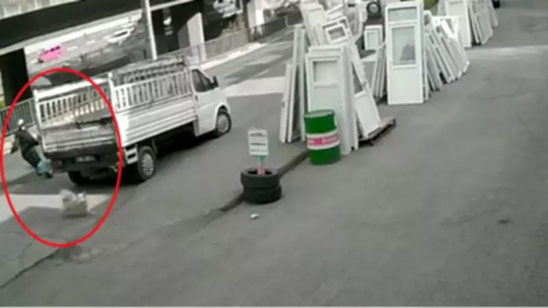 Trabzon'da Dehşet Verici Kaza: Köpekten Kaçan Üniversiteli Kız Otobüs Çarpması Sonucu Ağır Yaralandı