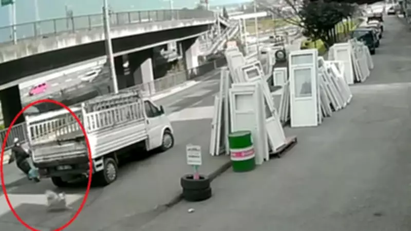 Trabzon'da Köpek Dehşeti Sonrası Algı Operasyonu Ortaya Çıktı