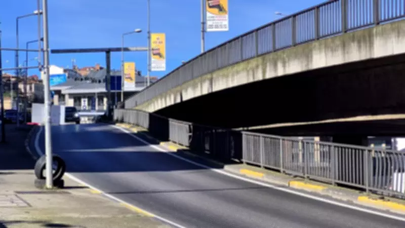 Trabzon'da Sokak Köpeği Panikle Yola Fırlayan Genç Kızı Otobüs Çarptı: Nesibe Gül'ün Hayati Tehlikesi Sürüyor