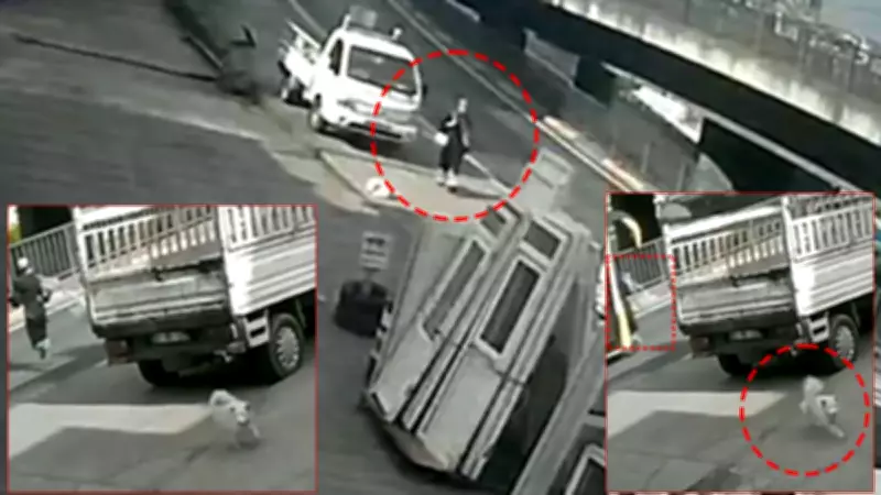 Trabzon'da Sokak Köpeğinden Kaçarken Otobüs Çarptı: Üniversiteli Kız Yaşam Savaşı Veriyor