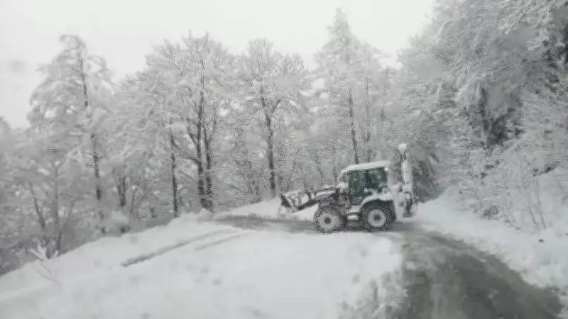 Trabzon'un Yüksek Rakımlı İlçeleri ve Uzungöl'de Kar Etkili, Ulaşım Aksamaları Yaşandı
