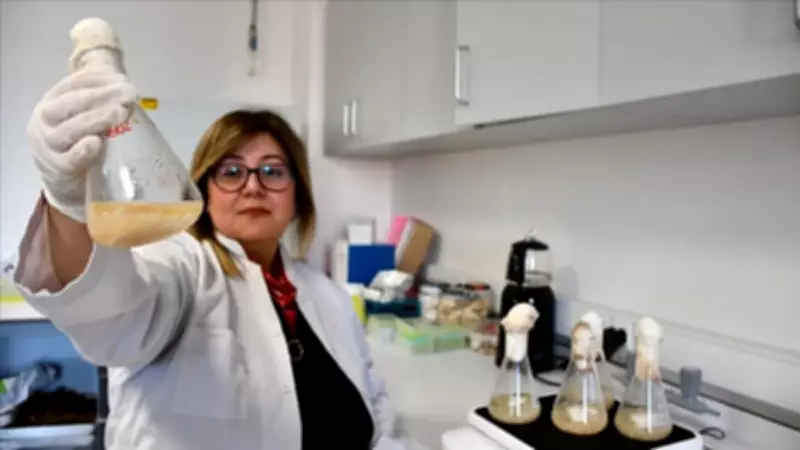 Türk Akademisyenlerden Devrim Niteliğinde Buluş: Mutfaktaki Sinsi Düşmana Son