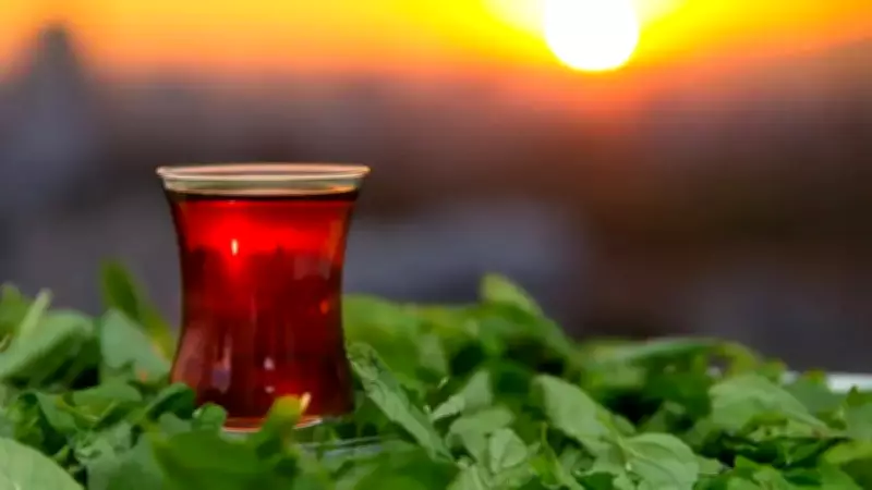 Türk Çayına Küresel Talep Patlaması: 51 Ülkeye İhracat 2 Milyon Doları Aştı