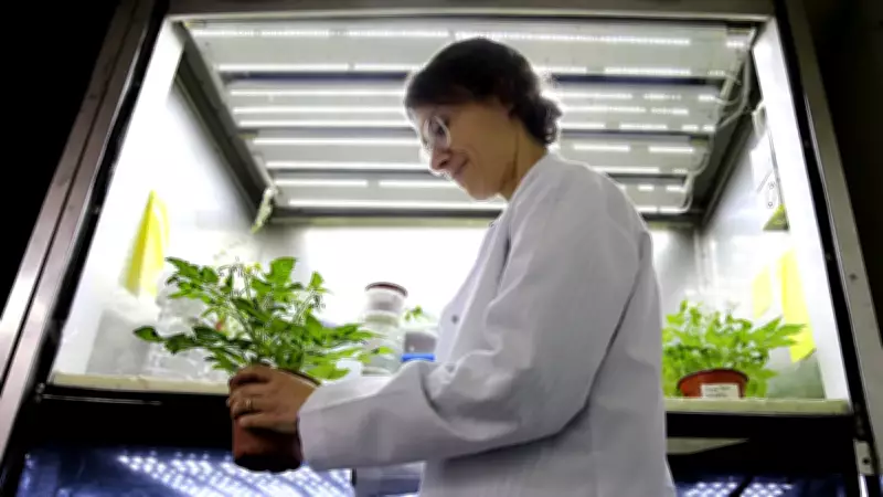 Türk Bilim İnsanı Uzayda Tarım Devrimi Başlatıyor: Ay ve Mars Toprağında Bitki Yetiştiriyor