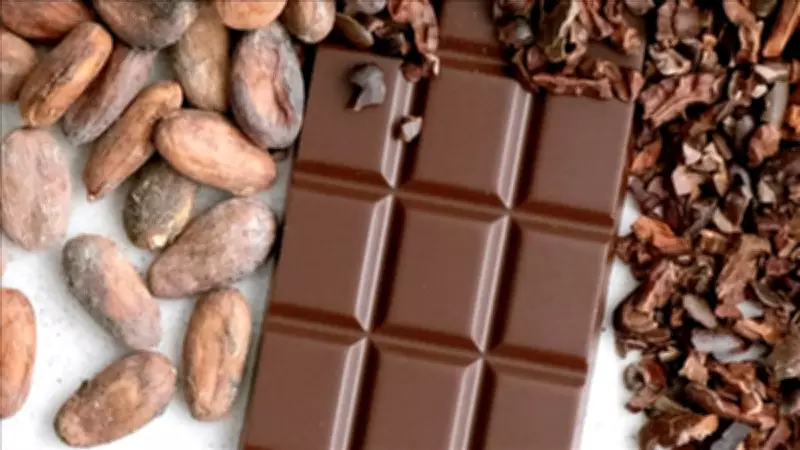Türkiye Kakao İhracatında Rekor: 5 Yılda 1,7 Milyar Dolara Ulaştı