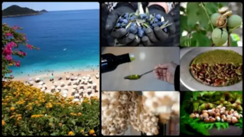 Türkiye'de Coğrafi İşaretlerde Rekor Artış: 2025'te 125 Yeni Tescil