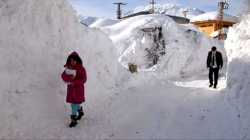 Tunceli'de Kar Tatili: 3 İlçede Okullar 1 Gün Kapandı