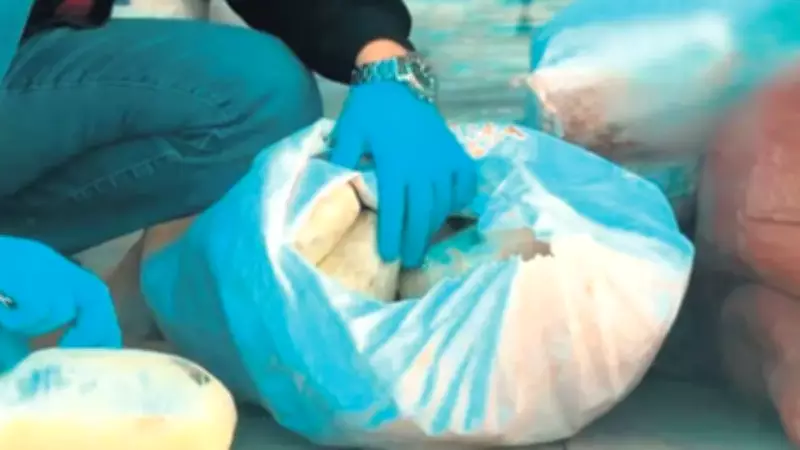 Van ve Hakkâri'de Dev Operasyon: Yarım Tona Yakın Uyuşturucu Ele Geçirildi