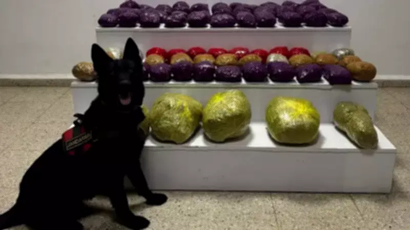 Van'da Büyük Uyuşturucu Operasyonu: 31 Kilo 551 Gram Ele Geçirildi