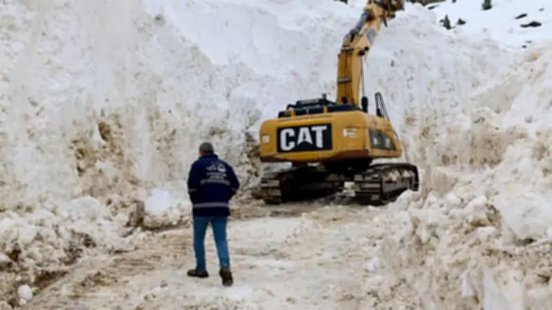 Van'da Çığ Nedeniyle Kapalı Kalan Mezra Yolu, 9 Günlük Çalışma Sonrası Açıldı