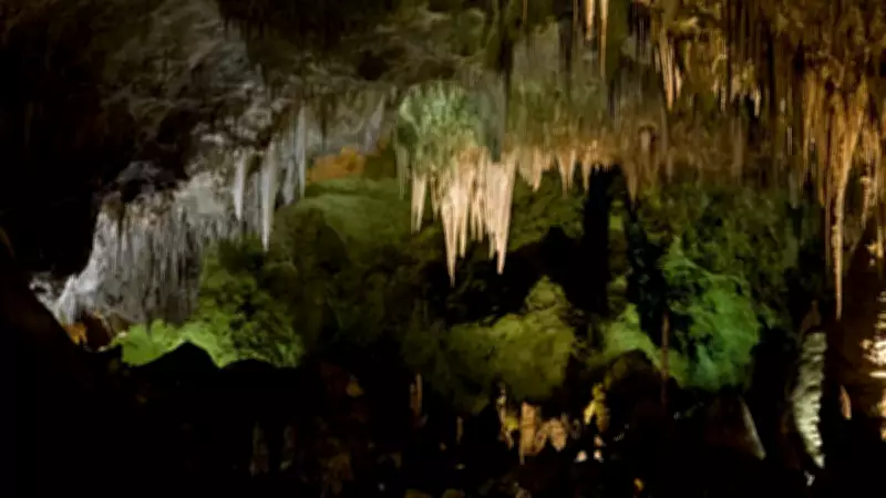 Yeraltında 49 Milyon Yıllık Parlayan Yeşil Mikrop Kolonisi Keşfedildi