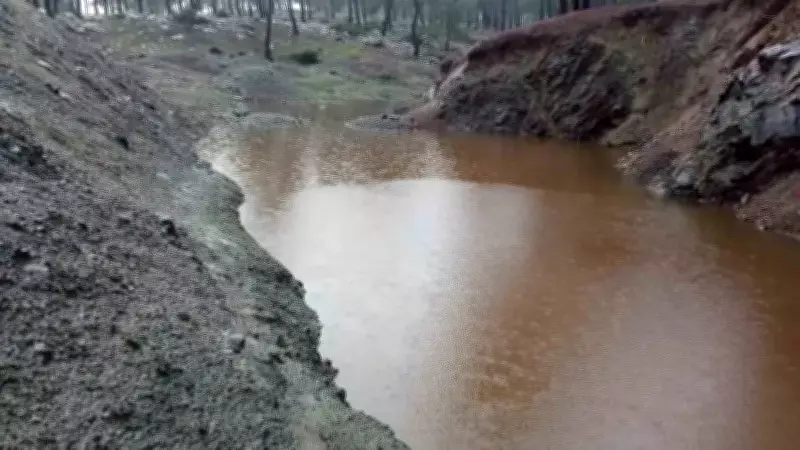 Yolçatı'da Trajedi: 10 Yaşındaki Suriyeli Çocuk Su Birikintisinde Boğuldu