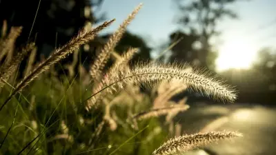 2. Cemre Ne Zaman Düşecek? 2026 Cemre Takvimi Açıklandı