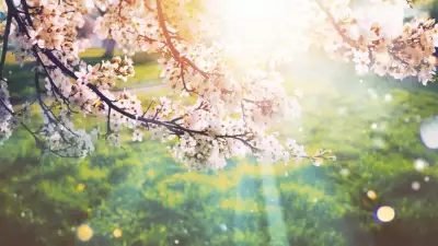 2026 Cemre Düşme Tarihleri Açıklandı: Baharın İlk Habercisi Ne Zaman?