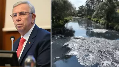 Bolu'da Atık Su Skandalı: İçme Suyu Havzası Kirletildi, ASKİ'ye 2 Milyon Lira Ceza