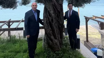 CHP'li Tanal'ın Zeytin Şovu Sosyal Medyada Tepki Topladı: 'Kerizime Dokunma' Yorumları