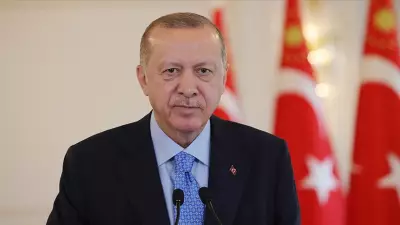 Cumhurbaşkanı Erdoğan, Sırbistan'ı Yenen Milli Basketbol Takımını Tebrik Etti