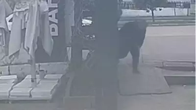 Düzce'de Alacak Verecek Kavgası: Fındık Tüccarı Tabancayla Ayağından Vuruldu