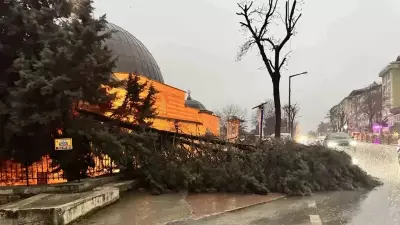 Edirne'de Fırtına ve Sağanak Yağış: Ağaçlar Devrildi, Trafik Aksadı