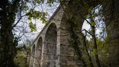 İskoçya'nın Gizemli Köprüsü: Köpekleri Mıknatıs Gibi Aşağı Çeken Tuhaf Güç