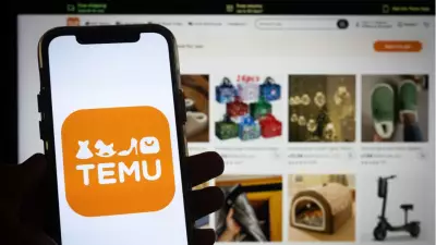 Temu Türkiye'ye Geri Döndü: Gümrük Engelini Aşmak İçin İthalatçı Şirket Kurdu