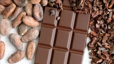 Türkiye Kakao İhracatında Rekor: 5 Yılda 1,7 Milyar Dolara Ulaştı