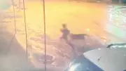 Adıyaman'da Sokak Köpekleri Saldırısı: 10 Yaşındaki Çocuk Vatandaşların Müdahalesiyle Kurtarıldı