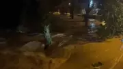 Antalya'da Sağanak Felaketi: Alanya'da Caddeler Göle Döndü, Tahliye Çalışmaları Başladı