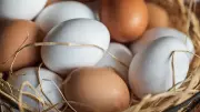Beyaz ve Kahverengi Yumurta Arasındaki Gerçek Farklar: Sağlık Açısından Etkisi Var mı?