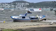 Bodrum'da Şiddetli Fırtına: Ağaçlar Devrildi, Tekneler Karaya Oturdu!