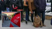 Edirne ve Kırklareli'nde 9 Düzensiz Göçmen Yakalandı