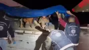 Hatay'da Tırın Dorsesinde 12 Kaçak Göçmen Yakalandı, 4 Organizatör Tutuklandı