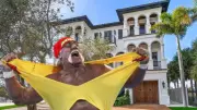Hulk Hogan'ın Lüks Florida Villası 11 Milyon Dolara Satışta