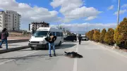 Karaman'da Feci Kaza: Yolun Karşısına Geçerken Minibüs Çarptı, 1 Kişi Hayatını Kaybetti