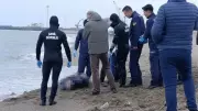 Karasu Sahilinde Bulunan Cesedin Kimliği Belli Oldu: Mustafa Ünlü