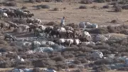 İsrail Saldırıları Batı Şeria'da Yeni Göç Dalgasına Neden Oldu: 7 Aile Daha Yerinden Edildi