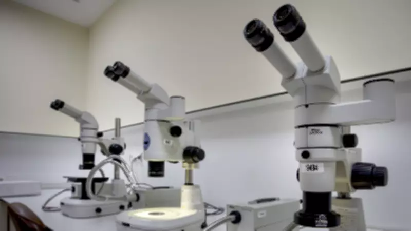 19 Yıl Önceki Gasp Cinayeti: Bir Damla Kan İzi Katili Nasıl Yakalattı?