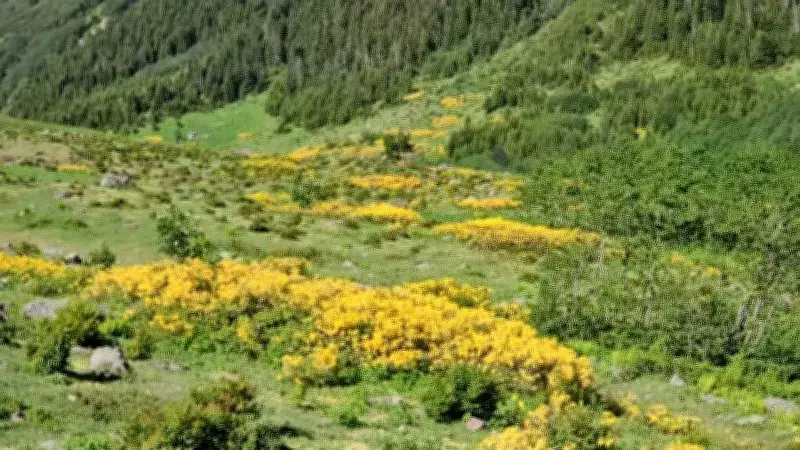 2026 Cemre Takvimi Açıklandı: Baharın Müjdecisi Toprağa Ne Zaman Düşecek?