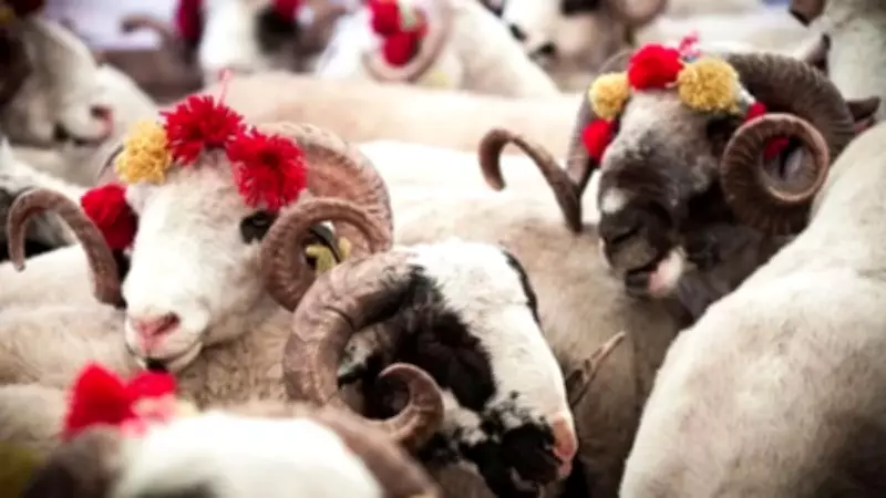 2026 Kurban Bayramı Tarihleri Belli Oldu: Tatil Süresi Kaç Gün?