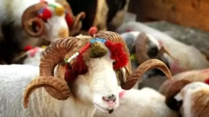 2026 Kurban Bayramı Tatili Ne Zaman? Kaç Gün Tatil Yapılacak?