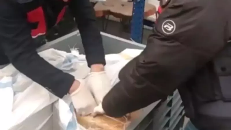 25 İlde Büyük Uyuşturucu Operasyonu: 255 Şüpheli Yakalandı, Tonlarca Madde Ele Geçirildi