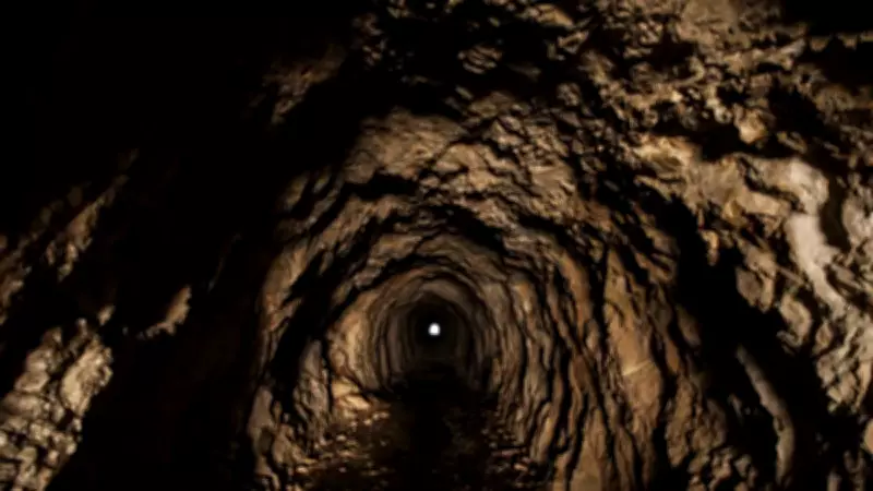 8 Bin Yıllık Sır Çözüldü: Dev Yeraltı Tünellerini İnşa Eden Canlı Ortaya Çıktı