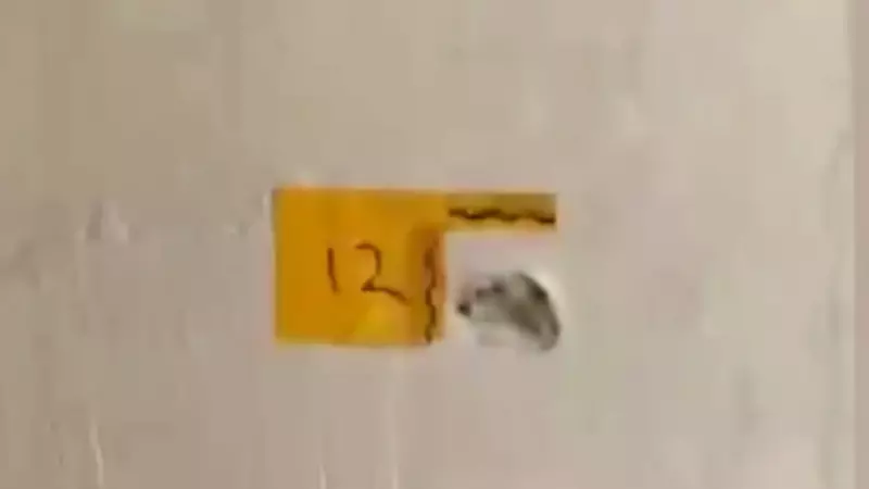 Adana'da Polis Kılığında Eve Giren Maskeliler Anne ve Oğlunu Vurdu